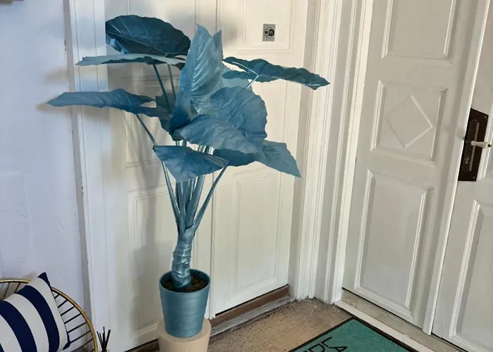 La Dolce In The Center With Private Parking Διαμέρισμα *